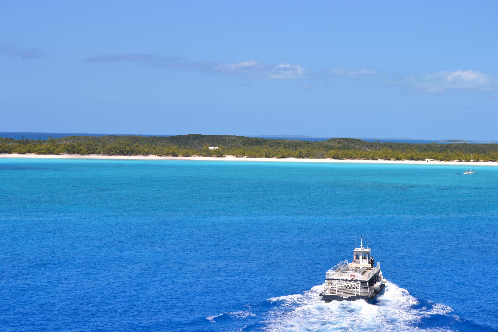 13112785_10154153726797387_2372520499679699275_o